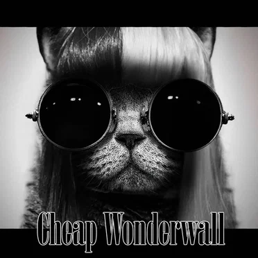 Cheap Wonderwall (Sia vs. Oasis)