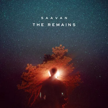 The Remains (A Year’s Worth of Songs)