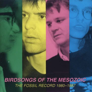 The Fossil Record 1980-1987 by Birdsongs of the Mesozoic - album cover