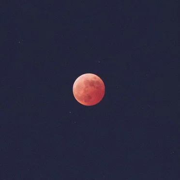 MOONLIGHT