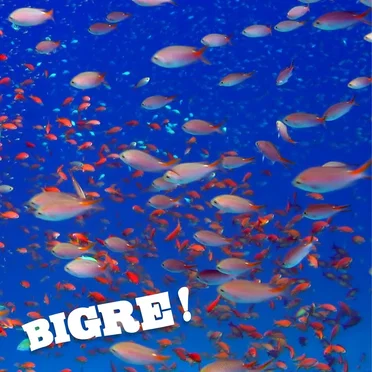 Bigre! by Bigre! - album cover