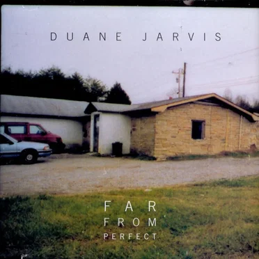 Far From Perfect by Duane Jarvis - album cover