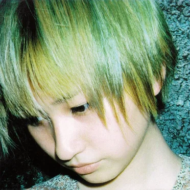 Angel 13: From The Hyper Speed Forest 聖なる森へ~天河の詩~ by DREAM DOLPHIN - album cover