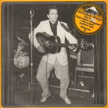 Bison Bop: The Bop That Never Stopped – For a Real Rockin’ Cat, Volume 8 by Various Artists - album cover