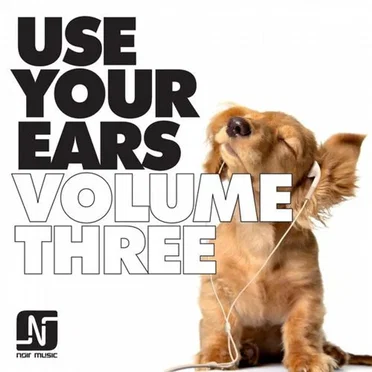 Use Your Ears Vol. 3 by Various Artists - album cover