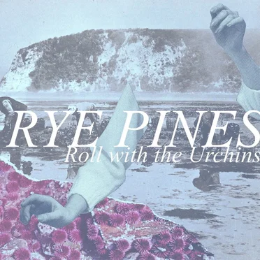 Roll with the Urchins