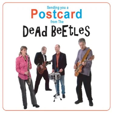 Sending You A Postcard From The Dead Beetles