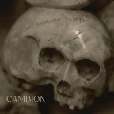 Cambion by In a House of Heartbeats - album cover