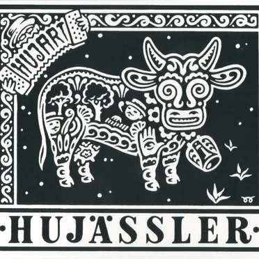 HujArt by Hujässler - album cover