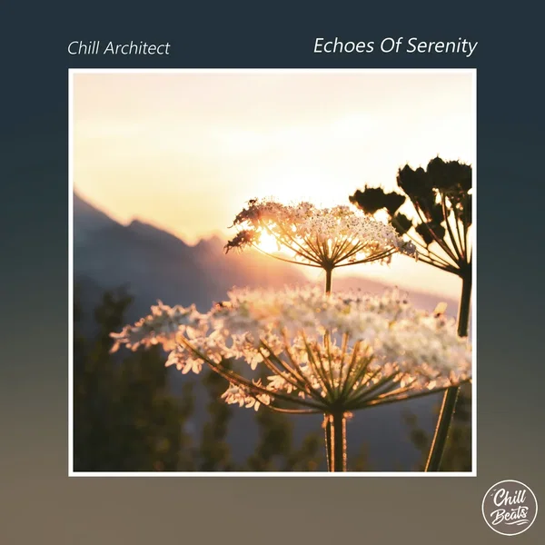 Echoes of Serenity