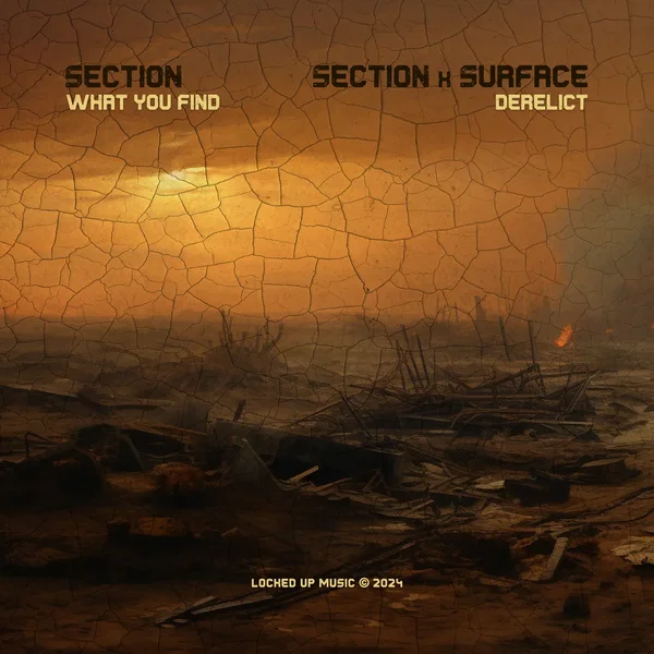 What You Find / Derelict