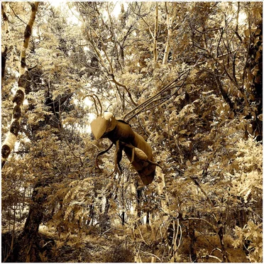 Untitled (2021–2022)