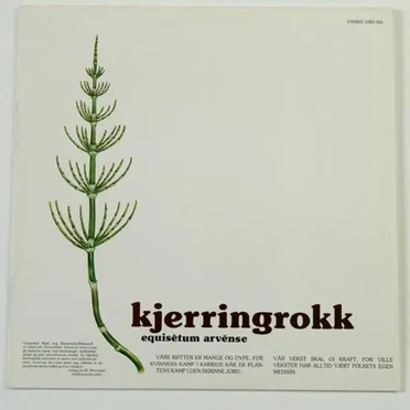 Kjerringrokk om kvinner
