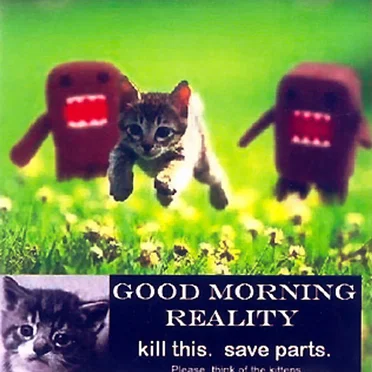 Kill This. Save Parts. by Good Morning Reality - album cover