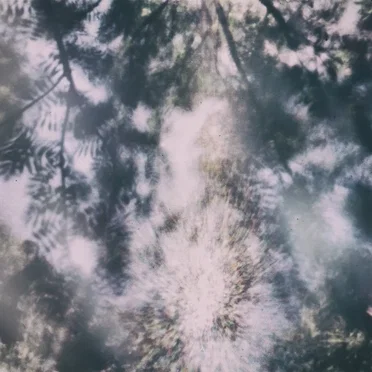 And the Rain Will Fall