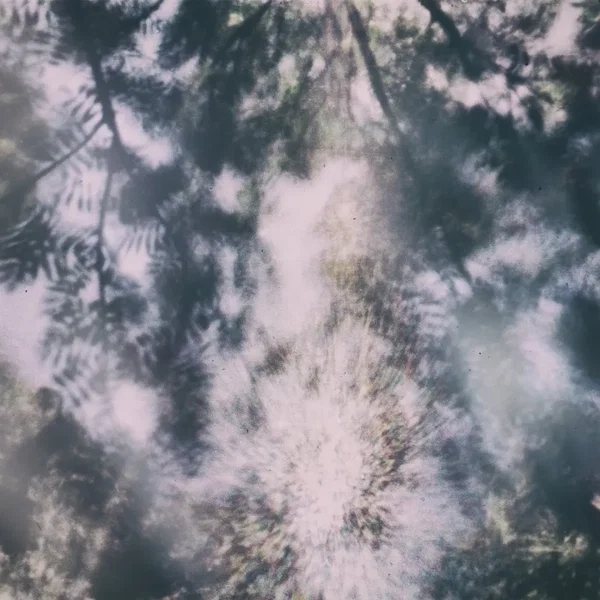 And the Rain Will Fall