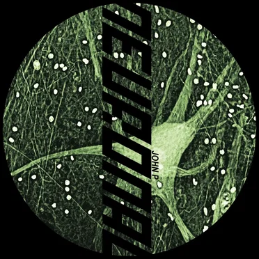 Neuronal by John P - album cover