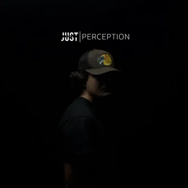Perception