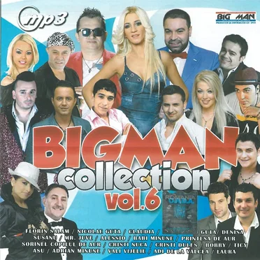 BIGMAN Collection, Vol. 6 by Various Artists - album cover