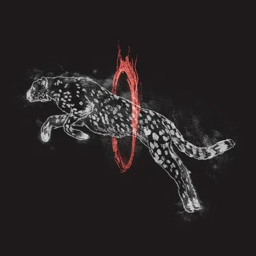 Through Fire