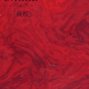夜桜 by Shulla - album cover