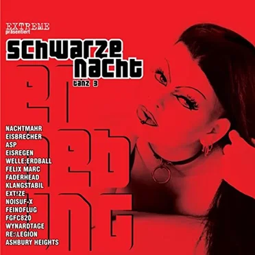Schwarze Nacht, Tanz 3 by Various Artists - album cover