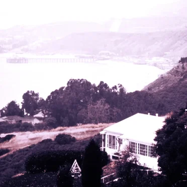 Shrinking Spirits Unpacking From Their Journeys (Evergreen Avenue Reinterpretation)