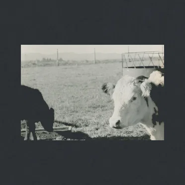 Water by Ajax Spearman of the Sun - album cover