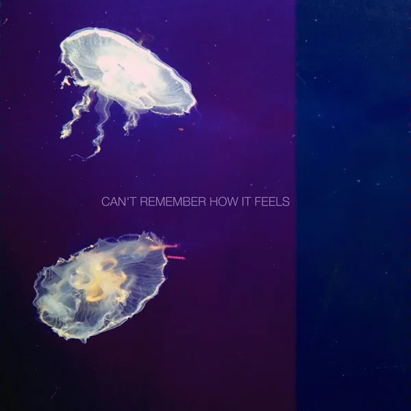 Can’t Remember How It Feels