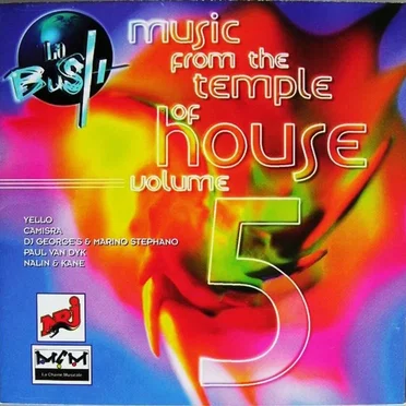 La Bush: Music From the Temple of House, Vol. 5 by Various Artists - album cover