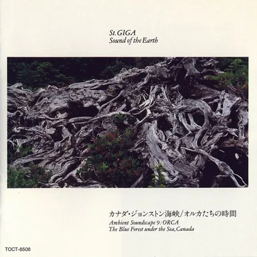 カナダ・ジョンストン海峡／オルカたちの時間