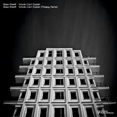 Words Can't Explain by Bass Sheriff - album cover