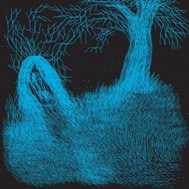 Blind Kingdom by Hair Police - album cover