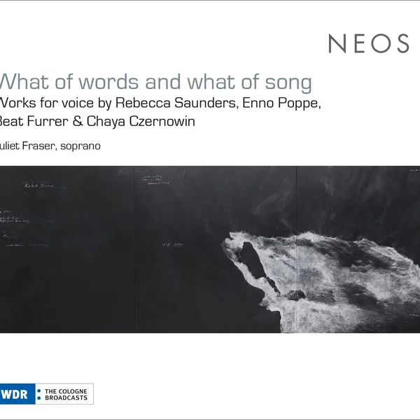 What of words and what of song