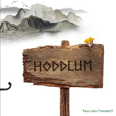 Hoddlum by Various Artists - album cover