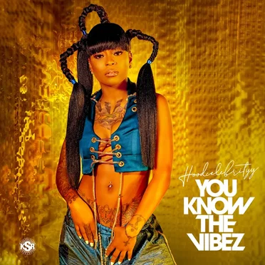 You Know the Vibez by Hoodcelebrityy - album cover