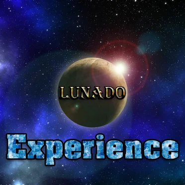 Experience