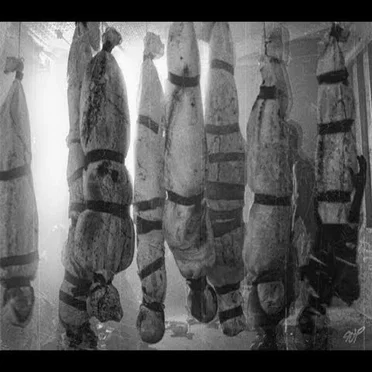 Baggin' Bodies in the Lobby