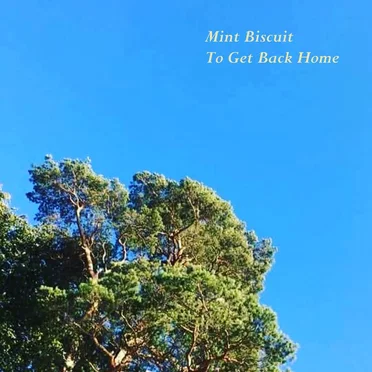 To Get Back Home by Mint Biscuit - album cover