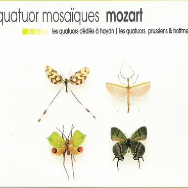 Les Quatuors dédiés à Haydn / Les Quatuors prussiens & Hoffmeister