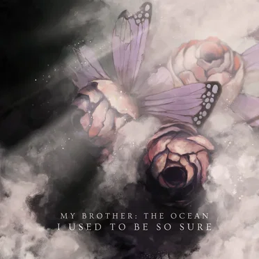 I Used to Be So Sure by My Brother: The Ocean - album cover