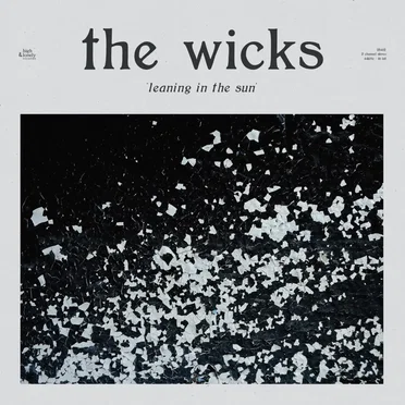 Leaning in the Sun by The Wicks - album cover