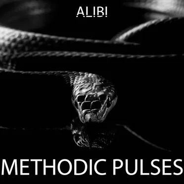 Methodic Pulses