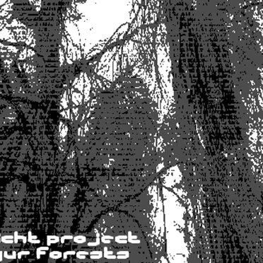 uygur forests