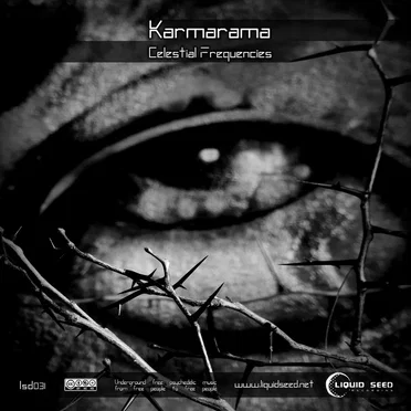 Celestial Frequencies by Karmarama - album cover