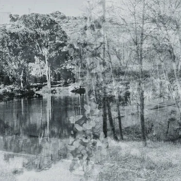 Memories, Dreams, Reflections
