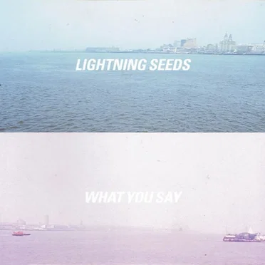 What You Say