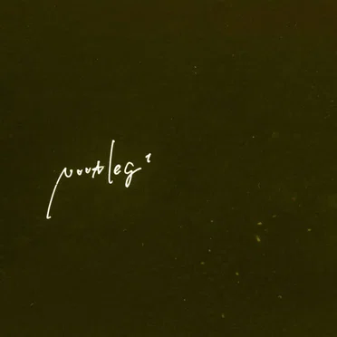 Nuutleg1
