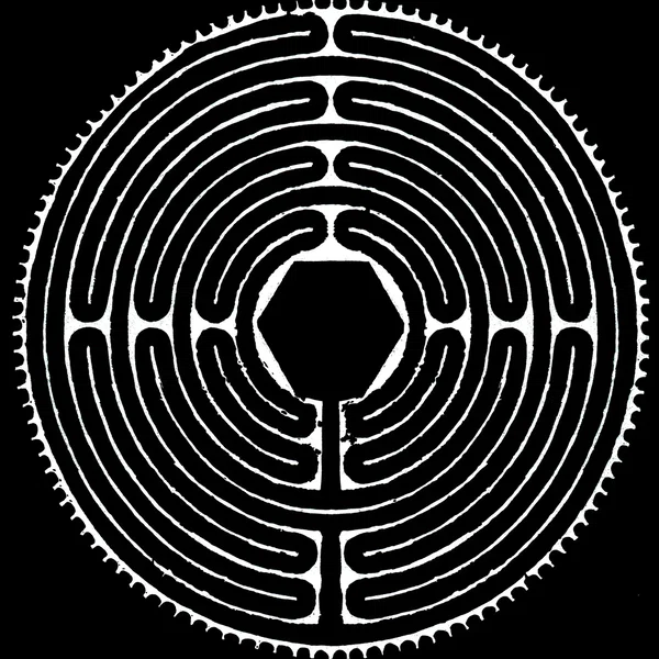 Life-Death Continuum