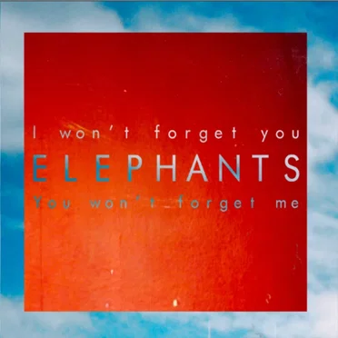 Elephants